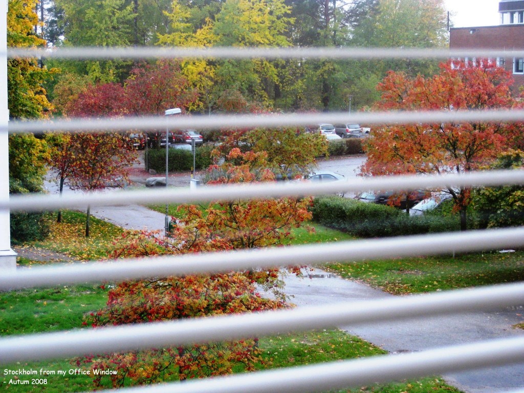 Stockholm Autumn from my office window