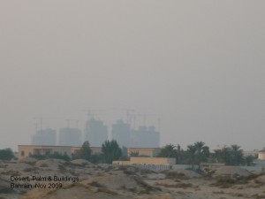 Bahraini Desert